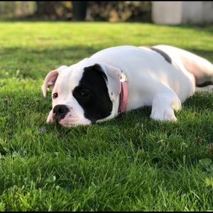 Meet your Posher, Britt